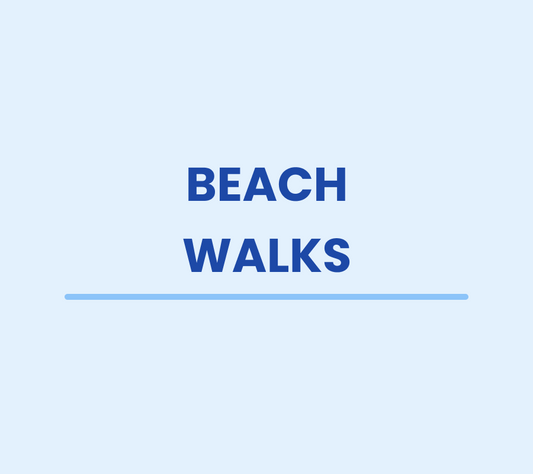 Beach Walks