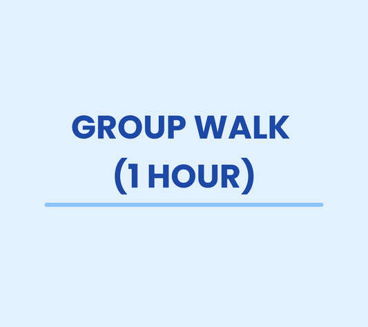 Group dog walk (1 hour)
